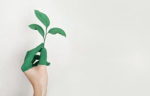 Groene werkplek: zonnepanelen en duurzame afvalscheiding voor bedrijven die groen willen werken