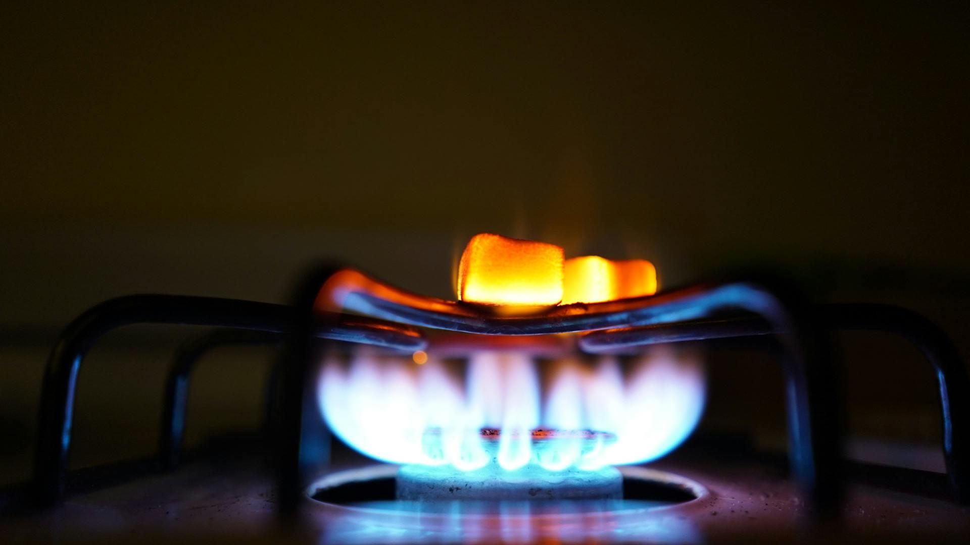 7Solutions gasdetectieapparatuur voor professionele ammoniakdetectie in industriële omgevingen
