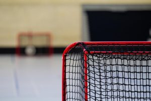 Home Innovatieve netten en doeken voor sport- en tuintoepassingen, inclusief veiligheidsnetten, vogelbescherming en duurzame mater