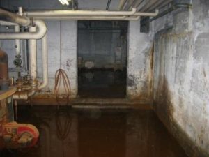 Home Professionele kelder waterdicht maken met moderne afdichtingstechniek tegen vochtproblemen